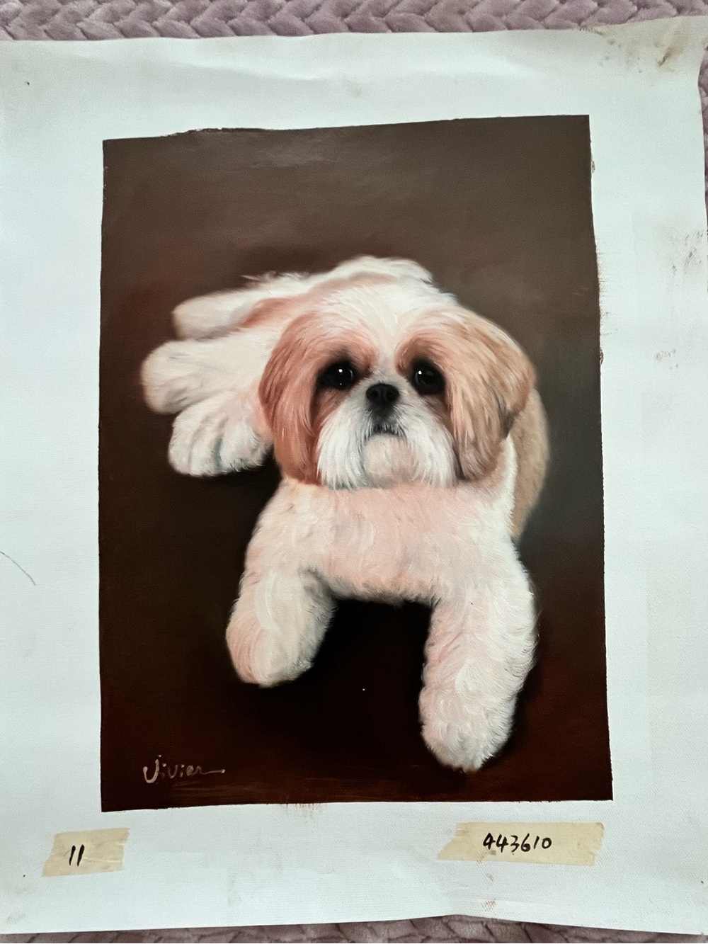 Vintage Oil Painting Shih Tzu Dog Artist Signed Unframed  20 x 16.5 AMAZING !